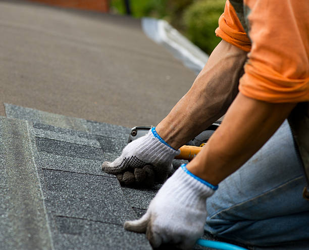 Roof Gutter Cleaning in Sarcoxie, MO
